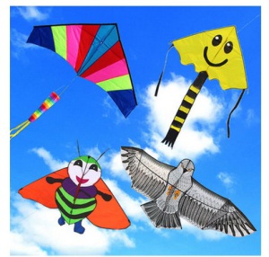 Promotional Colorful Popular Nylon Flying Kite
